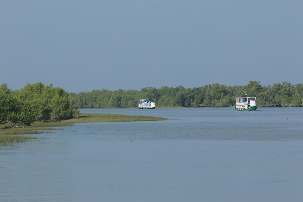 Travelling to the Sundarbans is easier now, Gujarati and Jain food is easily available